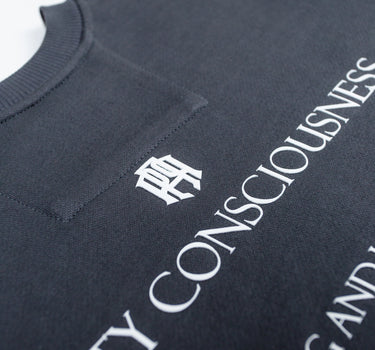 ABSORPTION GRAY HOODIE - AP CROWN - ANCESTRAL STREETWEAR