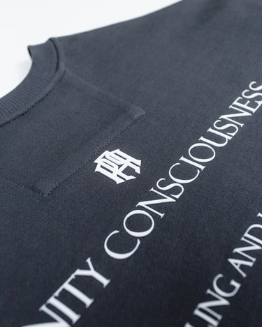ABSORPTION GRAY HOODIE - AP CROWN - ANCESTRAL STREETWEAR