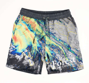 ICY SHORTS - AP CROWN - ANCESTRAL STREETWEAR