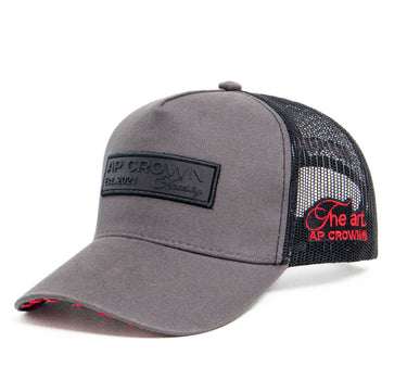 ENTI GREY CAP - AP CROWN - ANCESTRAL STREETWEAR