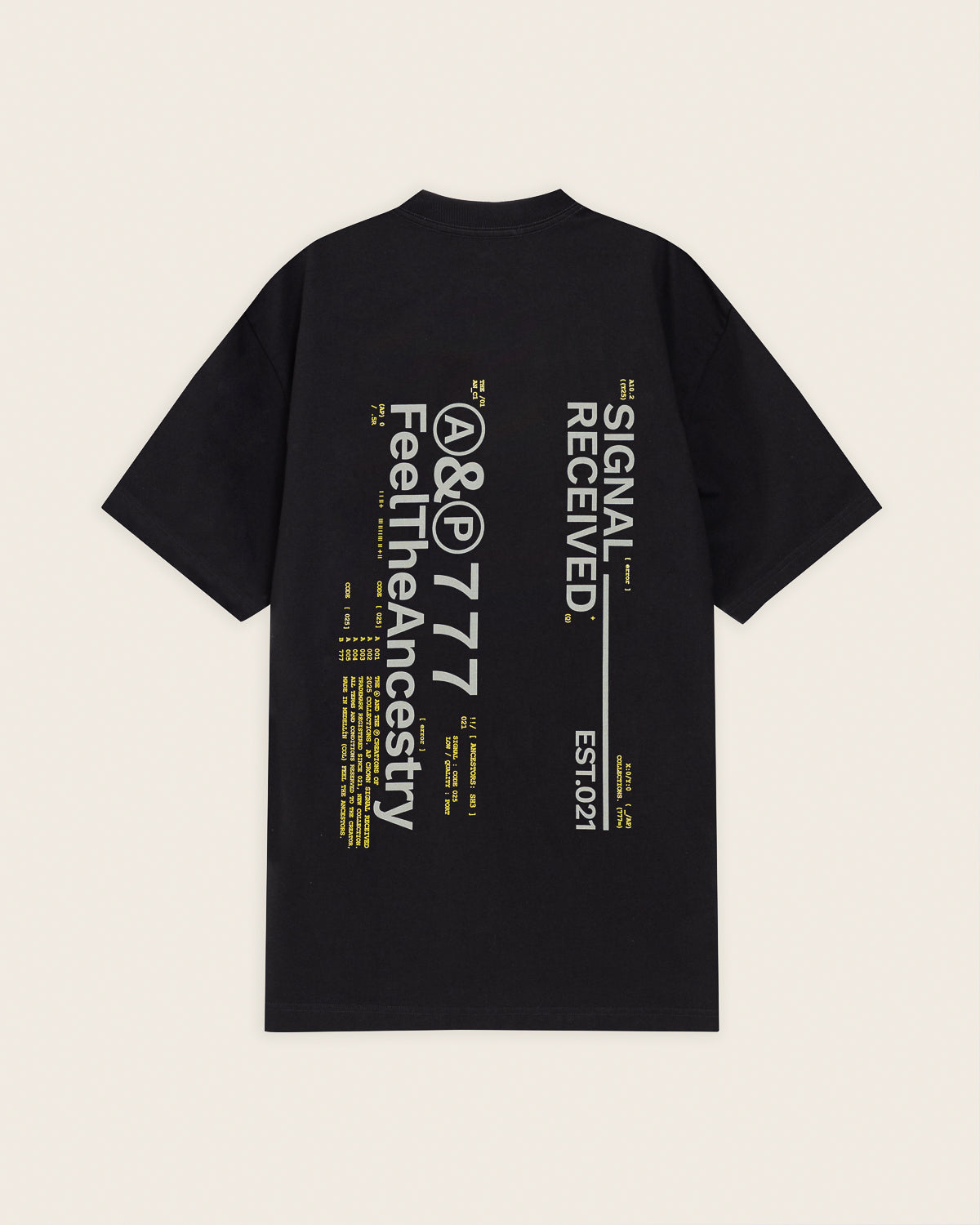 ASHEN BLACK T-SHIRT