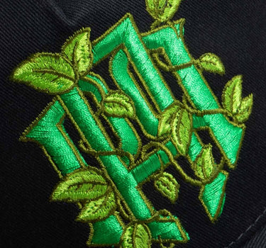 AP EARTH CAP - AP CROWN - ANCESTRAL STREETWEAR